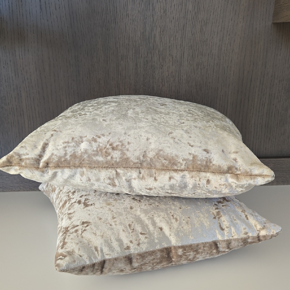 Elegant Velvet Throw Pillows - Set of 2